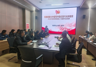 創(chuàng)新創(chuàng)業(yè)學院黨總支舉辦黨的二十屆四中全會精神專題宣講會