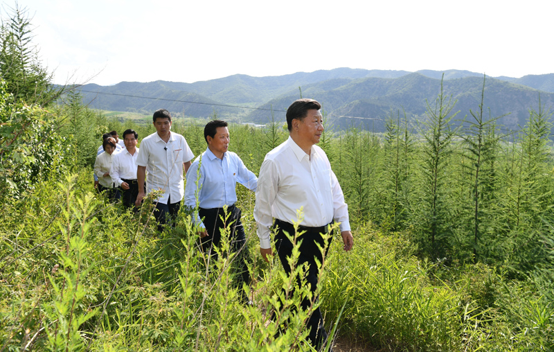 7月15日至16日，中共中央總書記、國家主席、中央軍委主席習近平在內(nèi)蒙古考察并指導開展“不忘初心、牢記使命”主題教育。這是15日下午，習近平在赤峰市喀喇沁旗馬鞍山林場林區(qū)，沿著崎嶇的護林小道察看林木長勢。