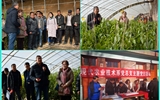 現(xiàn)代農(nóng)業(yè)技術(shù)系開展“喜迎己亥新春佳節(jié)、送科技送文化下鄉(xiāng)”主題黨日活動