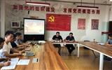 電子信息工程系黨總支開展“重溫入黨誓詞，牢記入黨初心”主題黨日活動(dòng)